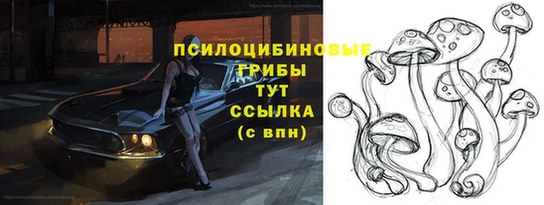 прущий лед Алексеевка