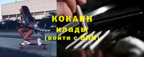 гашик Алексин