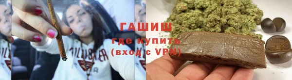 гашик Алексин