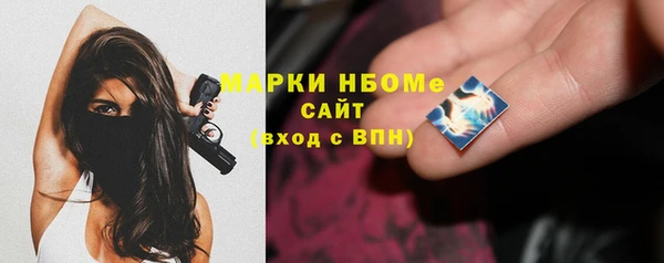 гашик Алексин