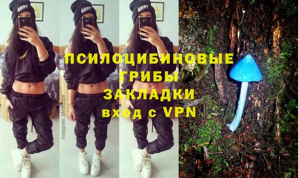 2c-b Семёнов