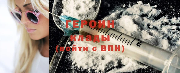 гашик Алексин