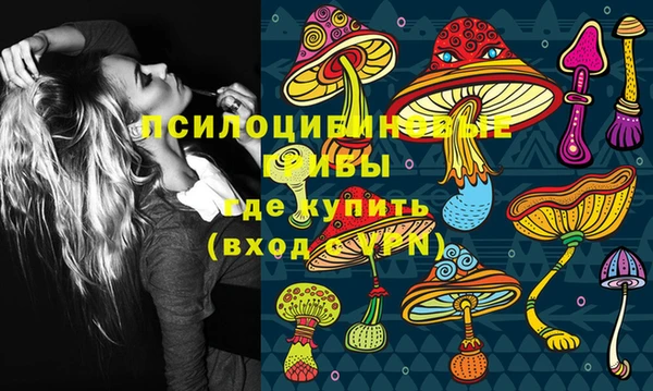 гашик Алексин