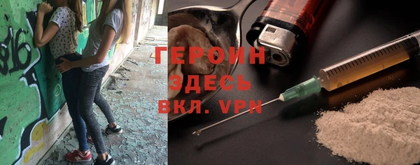гашик Алексин