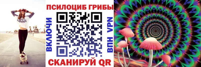Галлюциногенные грибы Psilocybe  наркота  Нижний Ломов 
